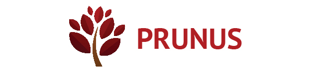 Prunus