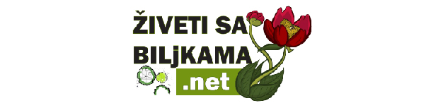Živeti sa biljkama