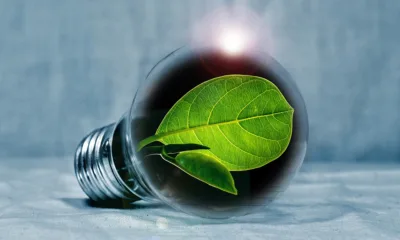 Energetska efikasnost je jedina i najvažnija akcija za smanjenje emisije