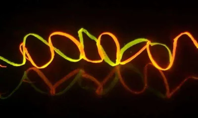 svila