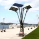 solarno drvo u sibeniku