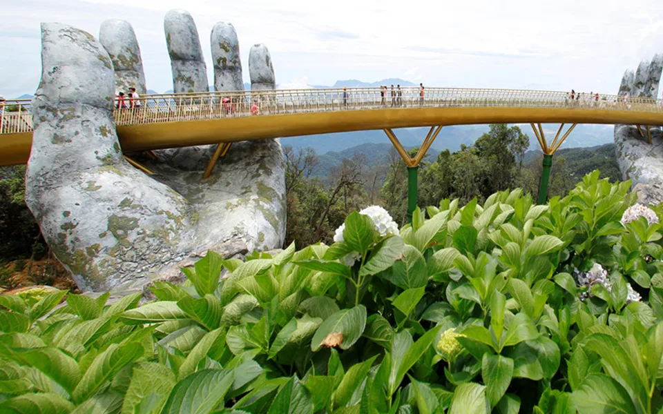 Dizajn ovog mosta potekao je od kompanije nazvane TA Landscape Architecture