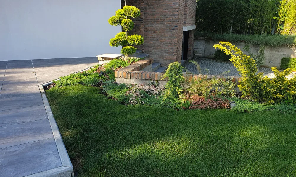 Darwin garden uredjenje zelenih povrsina dvoriste trava