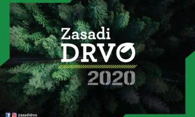 Zasadi Drvo Ilustracija