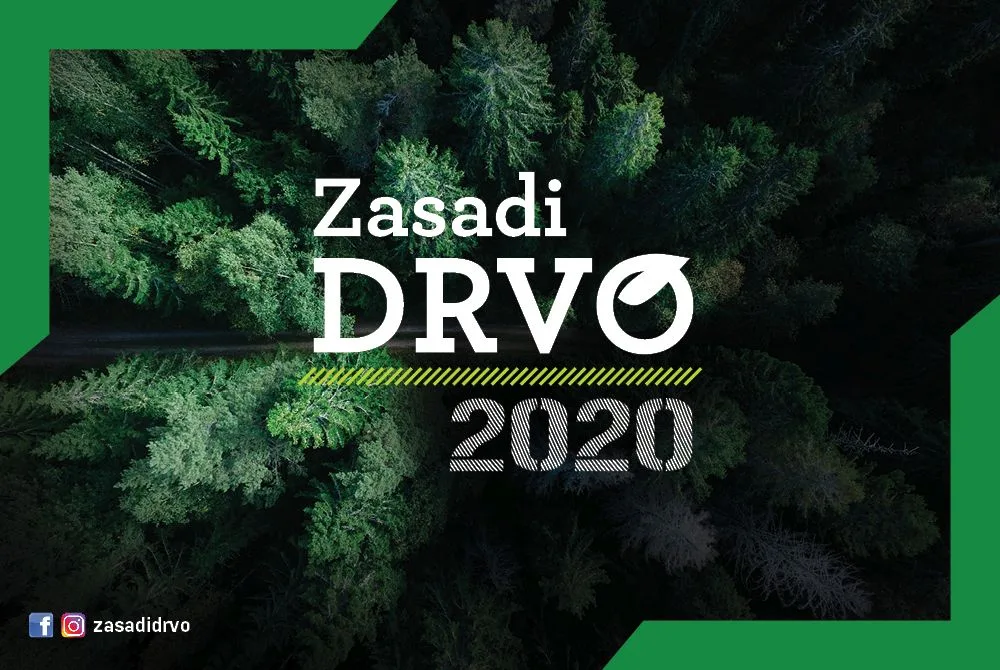 Zasadi Drvo Ilustracija jpg