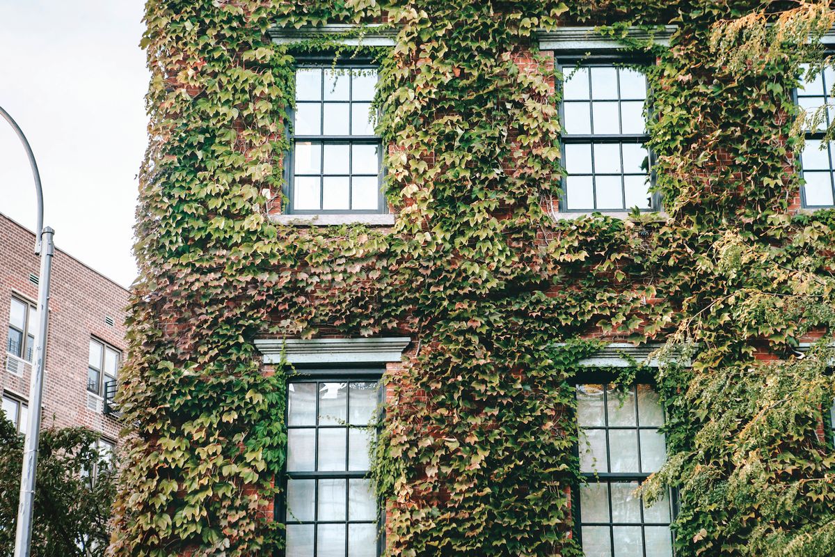 Fasada zeleni zidovi