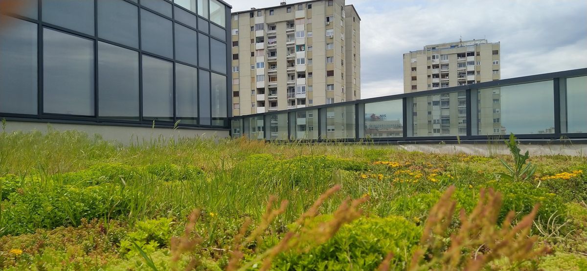 Novi Sad biodiverzitetski grad 1