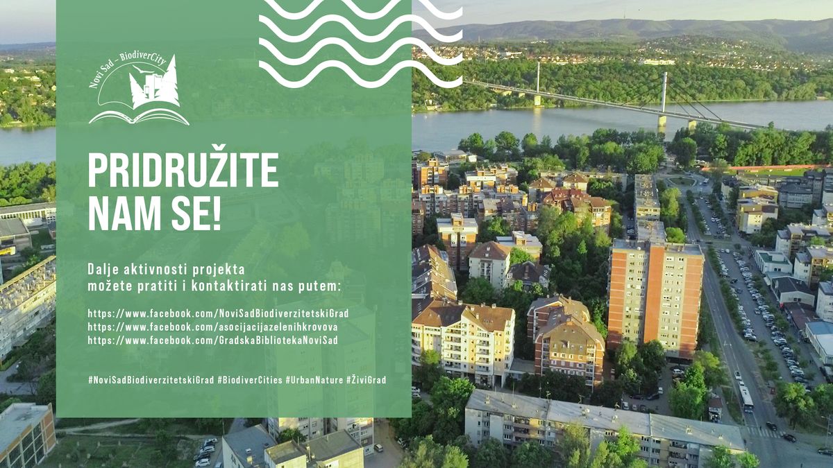 Zavrsni kadar 001 copy