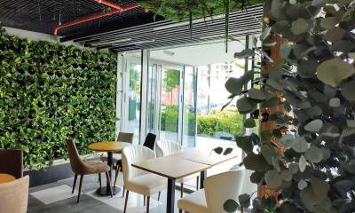 vegetacioni zid u kafiću