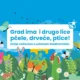 SVETSKI DAN BIODIVERZITETA: Da li znate ko čuva pčele, drveće i ptice?