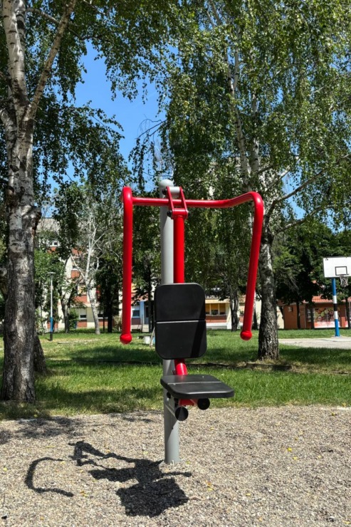 Kombinovana sprava za potisak i povlačenje iz sedećeg položaja / foto: D Sport System