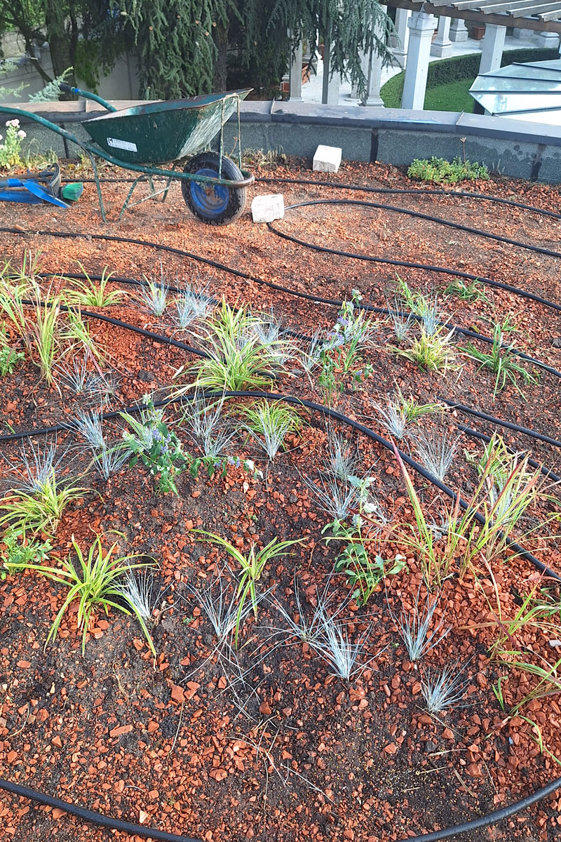 Postavljanje zelenog krova na Dedinju, Beograd / foto: BioPixel