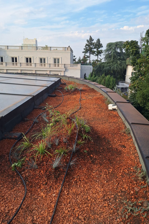 Postavljanje zelenog krova na Dedinju, Beograd, pre / foto: BioPixel