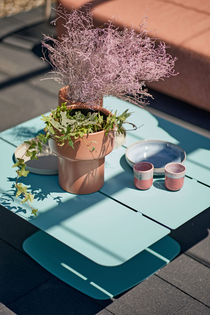 Ukrasno cveće na stolu ispred izložbenog prostora firme Animo / foto: Luka Šarac