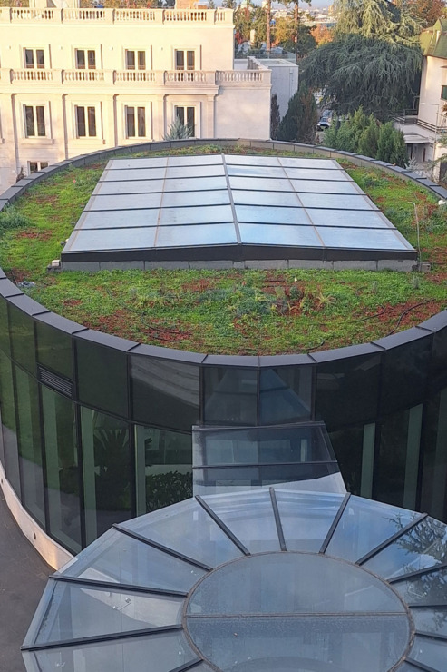 Zeleni krov na Dedinju, Beograd, posle / foto: BioPixel