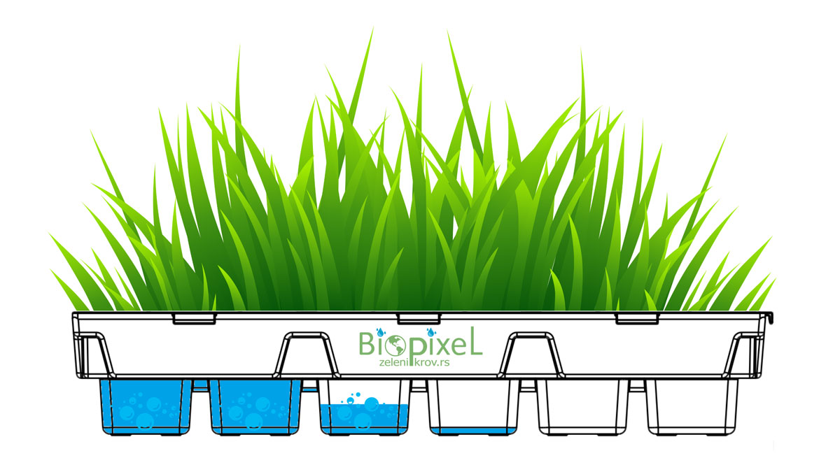 Biopixel kutija / foto: Živeti sa biljkama