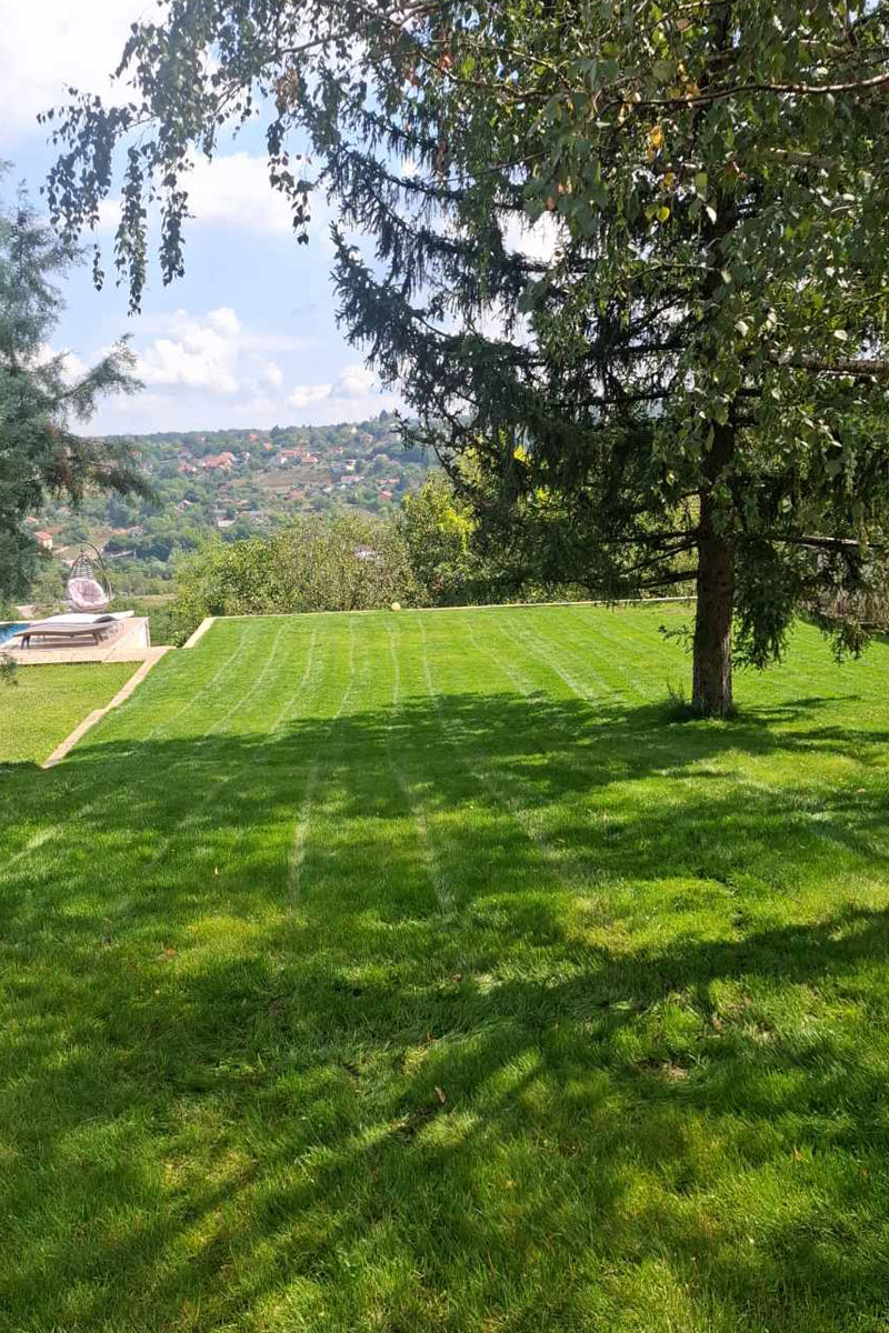 Kompletno ozelenjavanje sa sistemom "ključ u ruke" / foto: Hortulanos Kovilj