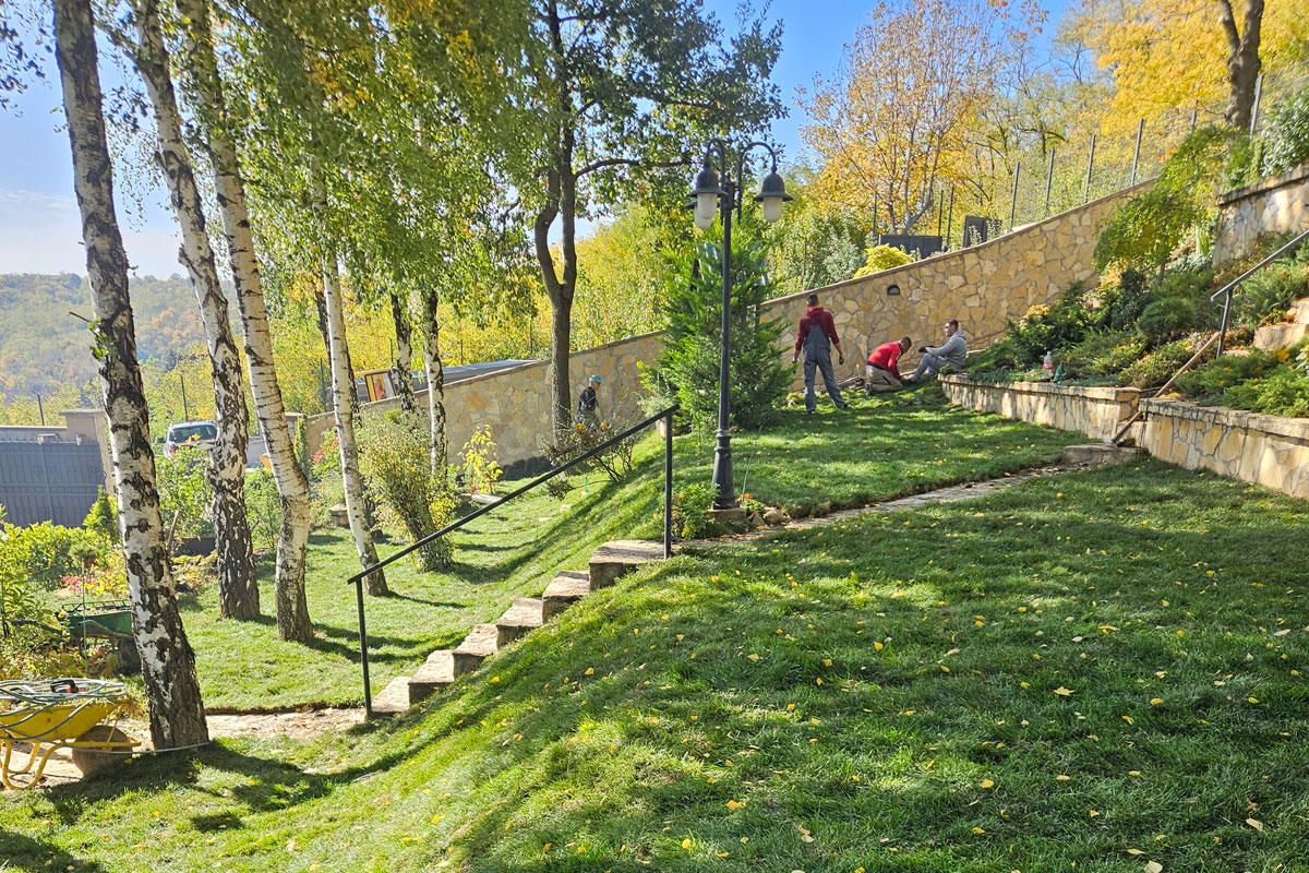 Ozelenjavanje prostora / foto: Hortulanos Kovilj