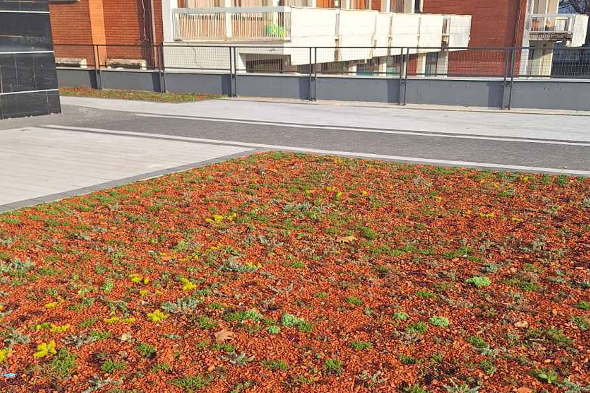 Pejzažna arhitektura i postavljanje zelenog krova na zgradu / foto: Živeti sa biljkama