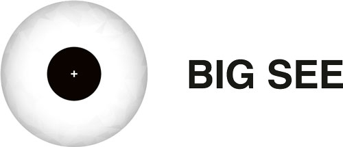 BIG SEE logo
