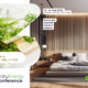 ZIDNI PANELI NS: Savremena rešenja za zidne obloge, uz vrhunski dizajn i eco-friendly materijale