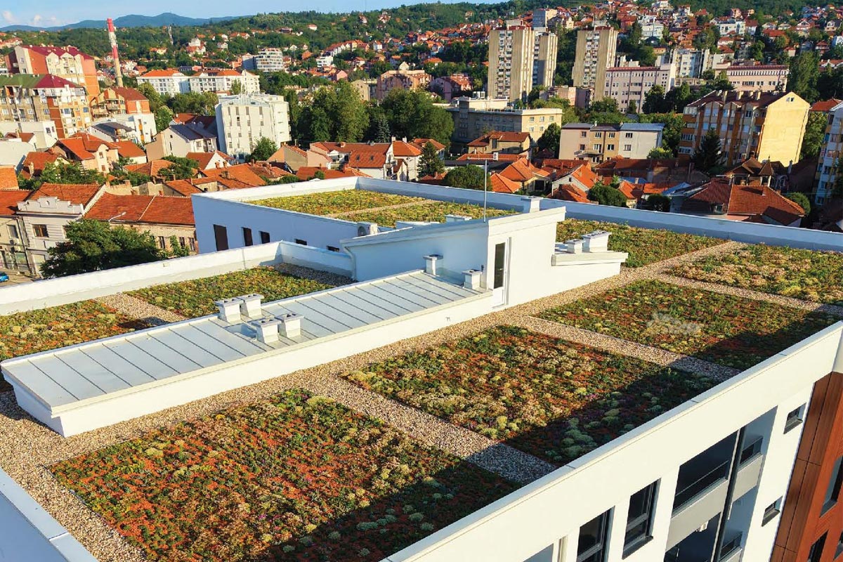 Zeleni krovovi kao nova infrastruktura grada / foto: Živeti sa biljkama